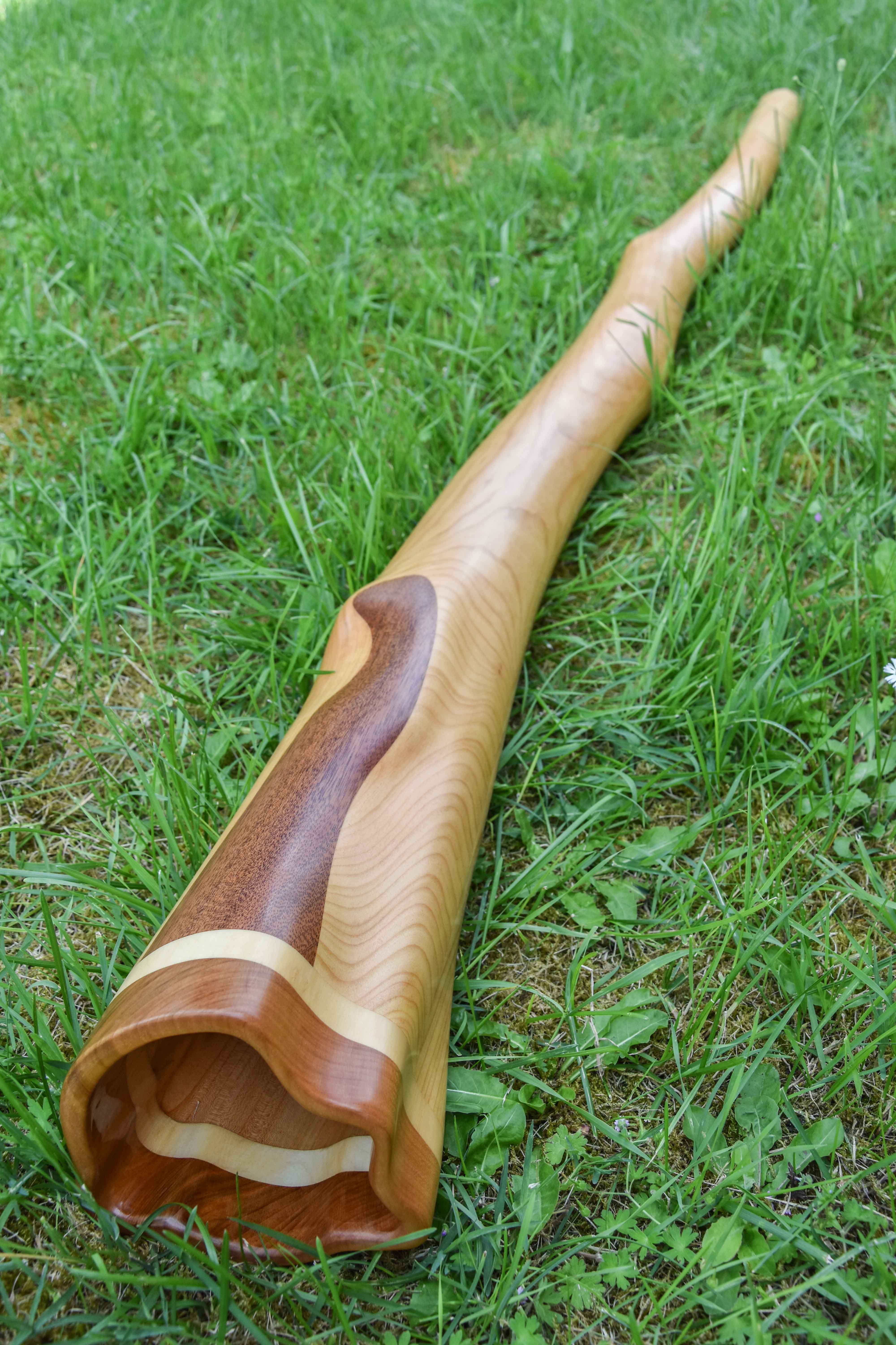  Didgerido sur mesure, en La, légèrement courbé, fabriqué en bois de merisier, avec du sipo et érable à la cloche